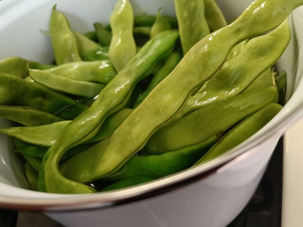 Турша (квашеная спаржевая фасоль) Турша (квашеная спаржевая фасоль)