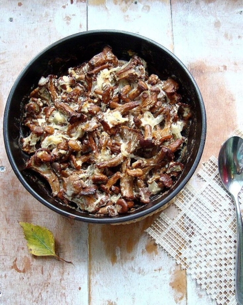 Запечённые лисички в сметане Запечённые лисички в сметане