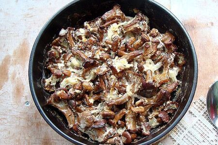 Запечённые лисички в сметане Запечённые лисички в сметане