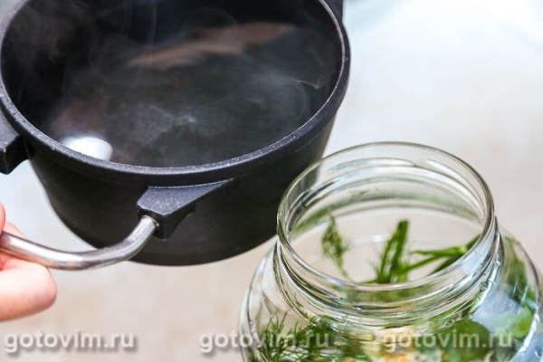 Малосольные огурцы с горчицей и кориандром