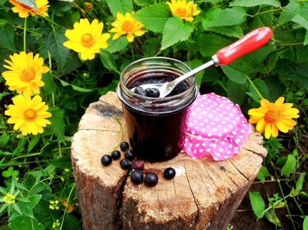 Черничный джем с черной смородиной Черничный джем с черной смородиной