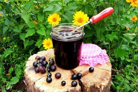 Черничный джем с черной смородиной Черничный джем с черной смородиной