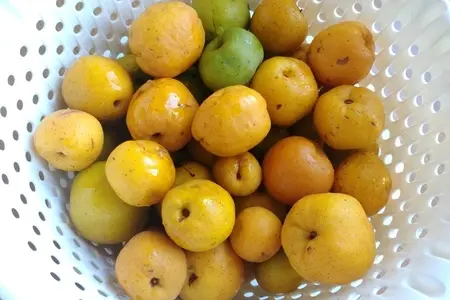 Цидония в сиропе