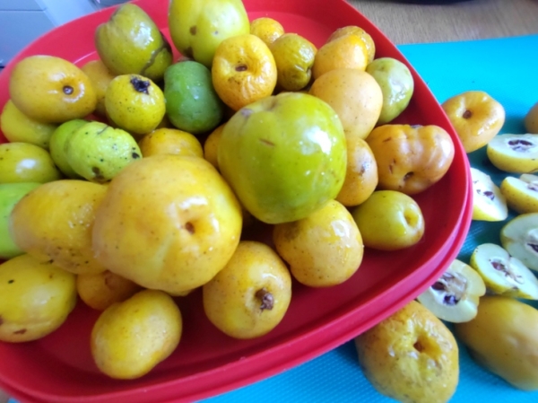 Цидония в сиропе