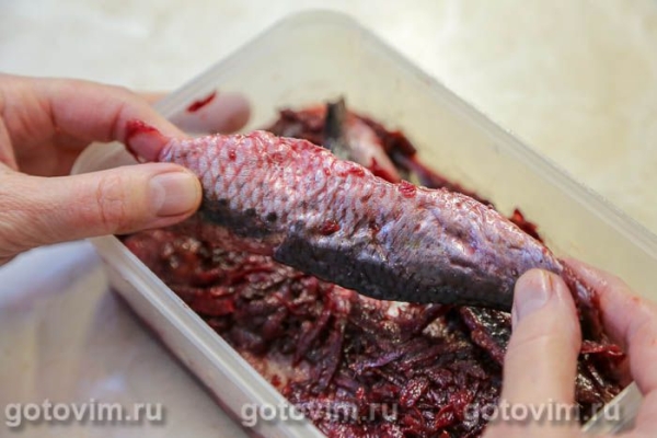 Иваси соленая (со свеклой) Иваси соленая (со свеклой)