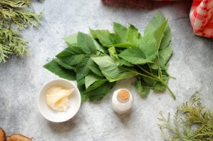 Квашеная сныть Квашеная сныть