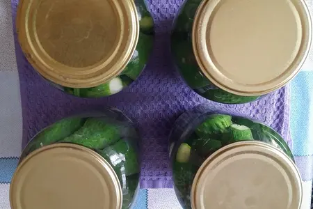 Маринованные огурцы с мятой Маринованные огурцы с мятой