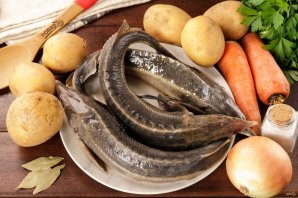 Уха из стерляди на костре