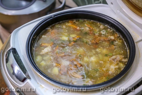 Летние щи с лисичками в мультиварке