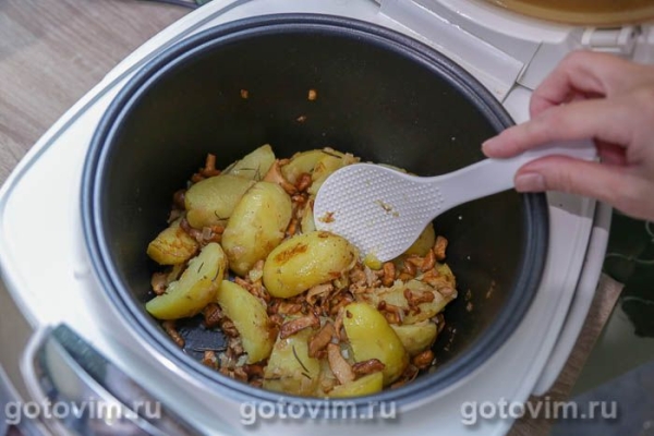 Молодой картофель, жаренный дольками с лисичками в мультиварке Молодой картофель, жаренный дольками с лисичками в мультиварке