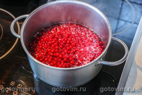 Сироп из красной смородины на зиму Сироп из красной смородины на зиму