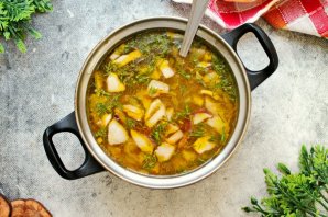 Суп из белых грибов замороженных