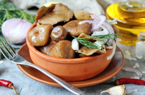 Засолка волнушек горячим способом Засолка волнушек горячим способом