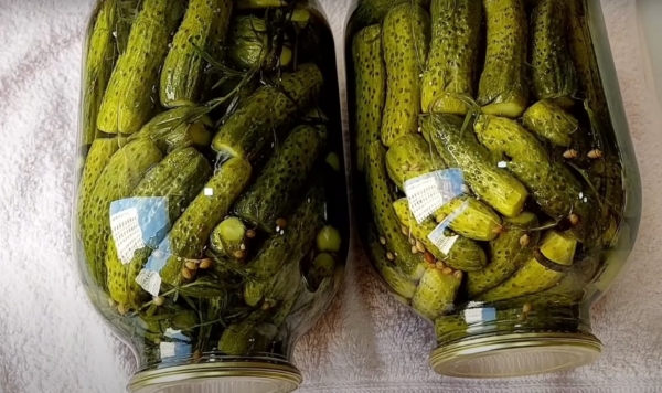 Как приготовить маринованные огурцы, которые будут таять во рту и хрустеть одновременно. Бабушкин метод
