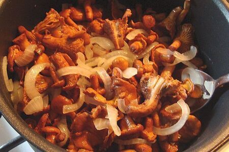 Запечённые лисички в сметане Запечённые лисички в сметане