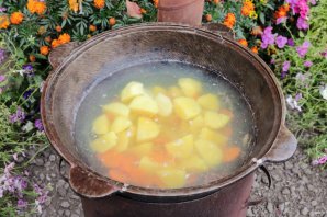 Уха из стерляди на костре