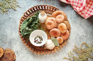 Засолка волнушек горячим способом Засолка волнушек горячим способом