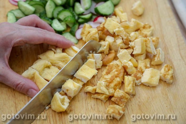 Овощной салат с редисом, огурцом, моцареллой и омлетом