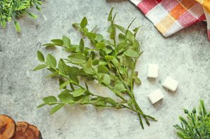 Чай из листьев черники Чай из листьев черники