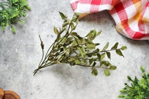 Чай из листьев черники Чай из листьев черники