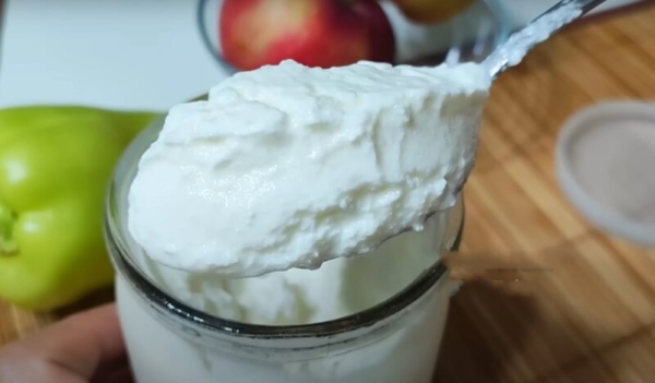 Кислое молоко по-ташкентски. Йогурт в магазине больше не покупаю, готовлю дома: вкусный и полезный рецепт