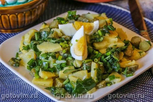 Салат с картофелем, щавелем и огурцами Салат с картофелем, щавелем и огурцами