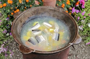 Уха из стерляди на костре