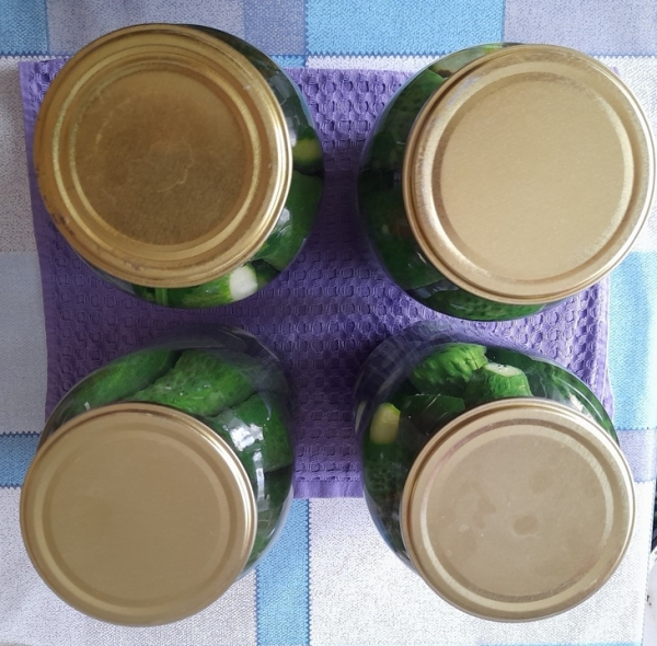 Маринованные огурцы с мятой Маринованные огурцы с мятой