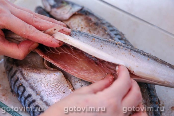 Скумбрия горячего копчения (в домашних условиях)