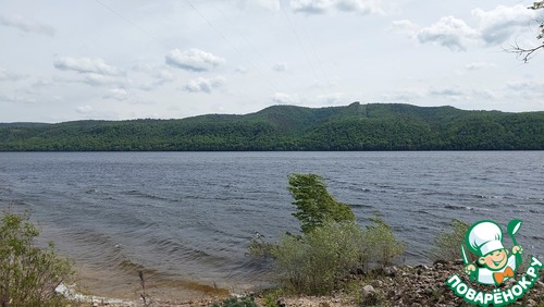 Морковные пироги с индейкой Морковные пироги с индейкой