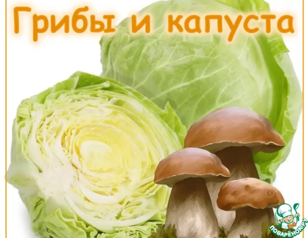 Грибы и капуста. Суп. Грибная солянка Грибы и капуста. Суп. Грибная солянка