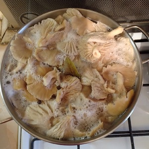 Икра грибная из вешенок с чесноком Икра грибная из вешенок с чесноком