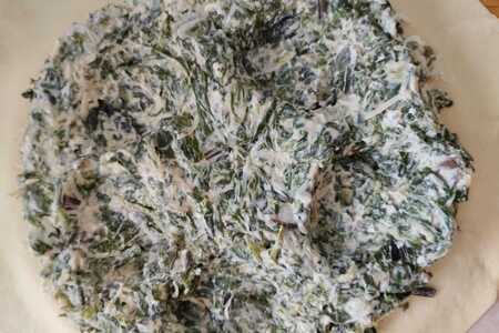 Итальянская паскуалина