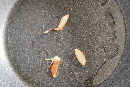 Итальянская паскуалина