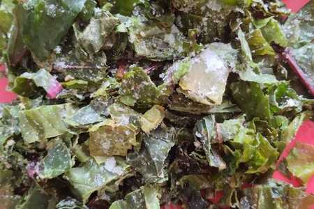 Итальянская паскуалина