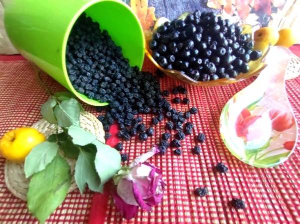 "изюм" из черноплодной рябины "изюм" из черноплодной рябины