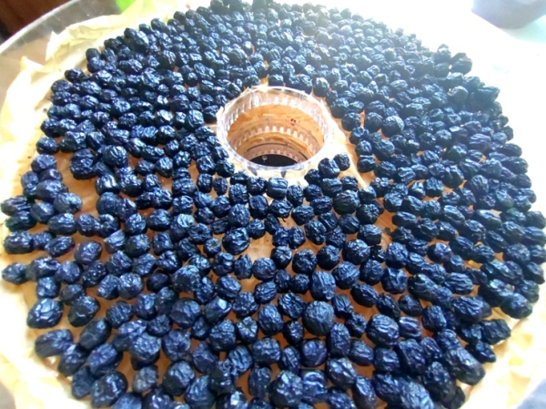 "изюм" из черноплодной рябины "изюм" из черноплодной рябины