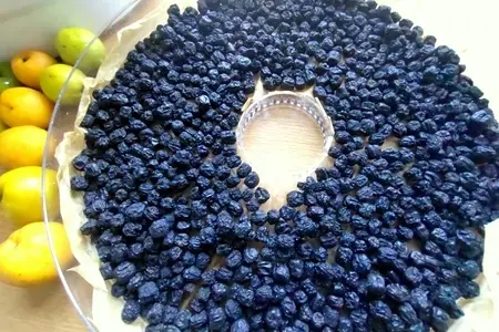 "изюм" из черноплодной рябины "изюм" из черноплодной рябины