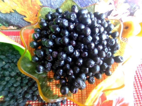 "изюм" из черноплодной рябины "изюм" из черноплодной рябины