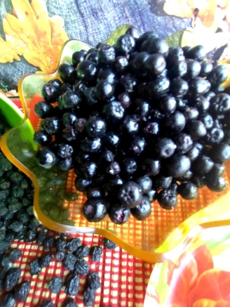 "изюм" из черноплодной рябины "изюм" из черноплодной рябины