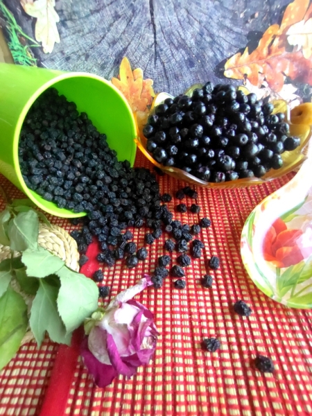 "изюм" из черноплодной рябины "изюм" из черноплодной рябины