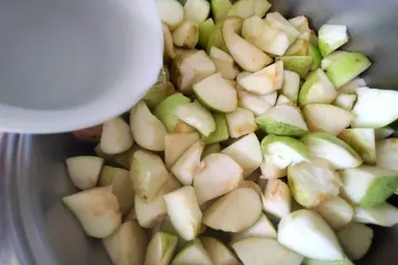 Яблочная пастила