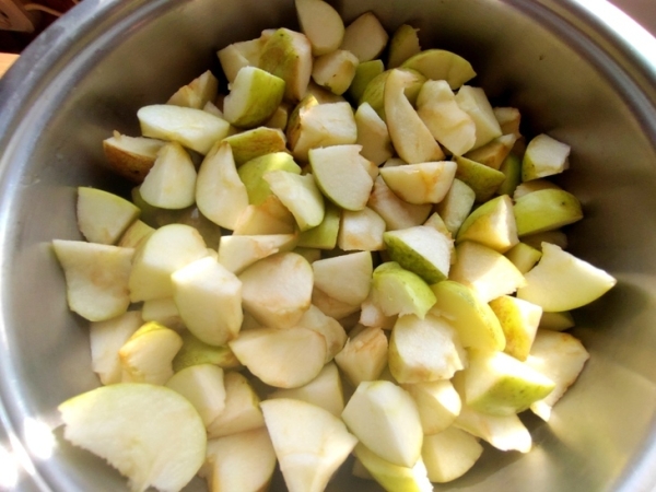 Яблочная пастила