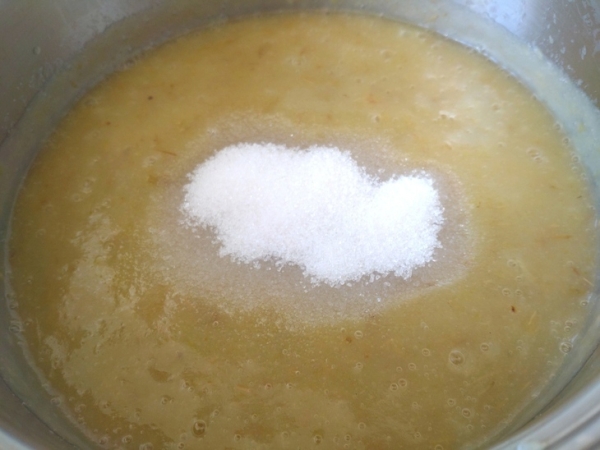 Яблочная пастила