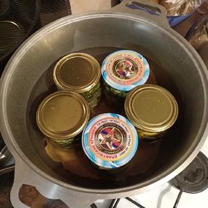 Кабачки "Хризантемы" Кабачки "Хризантемы"