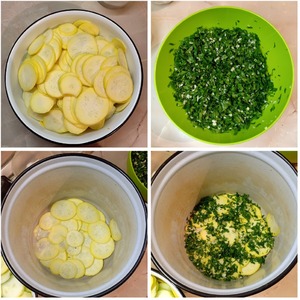 Кабачки "Хризантемы" Кабачки "Хризантемы"