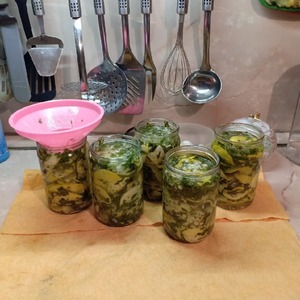 Кабачки "Хризантемы" Кабачки "Хризантемы"