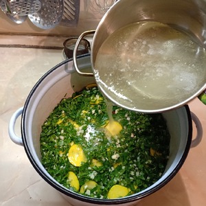 Кабачки "Хризантемы" Кабачки "Хризантемы"