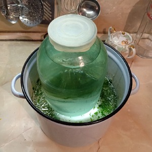 Кабачки "Хризантемы" Кабачки "Хризантемы"