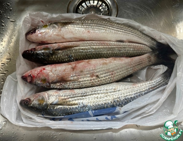 Кефаль. В духовке Кефаль. В духовке